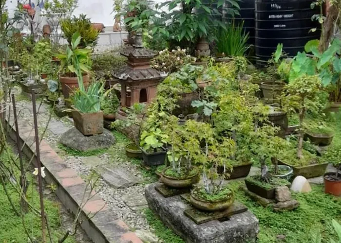 Garden House In Gairidhara Apartament